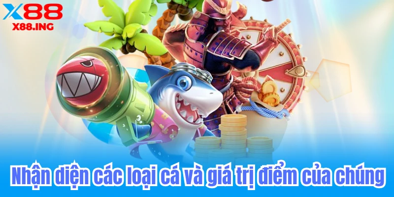 Nhận diện các loại cá và giá trị điểm của chúng