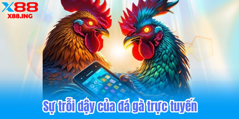 Sự trỗi dậy của đá gà trực tuyến
