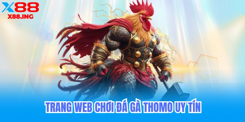 Trang web chơi đá gà Thomo uy tín